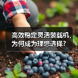 高效稳定灵活装载机,为何成为理想选择?(图2) 高效稳定灵活装载机,为何成为理想选择?(图2)