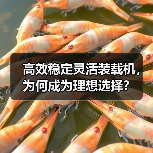 高效稳定灵活装载机,为何成为理想选择?(图1) 高效稳定灵活装载机,为何成为理想选择?(图1)