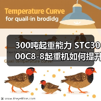 300吨起重能力 STC3000C8-8起重机如何提升工程效率?(图3) 300吨起重能力 STC3000C8-8起重机如何提升工程效率?(图3)