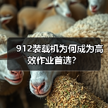 912装载机为何成为高效作业首选?(图2) 912装载机为何成为高效作业首选?(图2)
