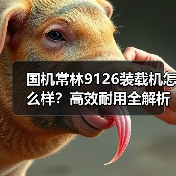 国机常林9126装载机怎么样?高效耐用全解析(图1) 国机常林9126装载机怎么样?高效耐用全解析(图1)