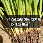 912装载机为何成为高效作业首选?(图3) 912装载机为何成为高效作业首选?(图3)