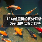 12吨起重机的优势解析:为何山东品牌更值得信赖?(图1) 12吨起重机的优势解析:为何山东品牌更值得信赖?(图1)