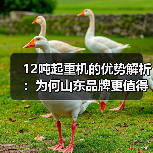 12吨起重机的优势解析:为何山东品牌更值得信赖?(图3) 12吨起重机的优势解析:为何山东品牌更值得信赖?(图3)
