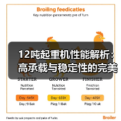 12吨起重机性能解析:高承载与稳定性的完美结合(图2) 12吨起重机性能解析:高承载与稳定性的完美结合(图2)