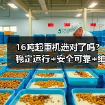 16吨起重机选对了吗?稳定运行+安全可靠+维护方便(图4) 16吨起重机选对了吗?稳定运行+安全可靠+维护方便(图4)