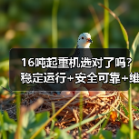 16吨起重机选对了吗?稳定运行+安全可靠+维护方便(图1) 16吨起重机选对了吗?稳定运行+安全可靠+维护方便(图1)