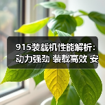 915装载机性能解析:动力强劲 装载高效 安全可靠,永义重工为何受青睐?(图1) 915装载机性能解析:动力强劲 装载高效 安全可靠,永义重工为何受青睐?(图1)