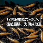 12吨起重能力+26米半径起重机,为何成为重型工程首选?(图2) 12吨起重能力+26米半径起重机,为何成为重型工程首选?(图2)