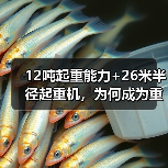 12吨起重能力+26米半径起重机,为何成为重型工程首选?(图1) 12吨起重能力+26米半径起重机,为何成为重型工程首选?(图1)