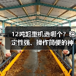 12吨起重机选哪个？稳定性强、操作简便的神力12吨起重机如何选？（图3）