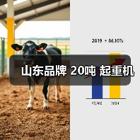 山东品牌 20吨 起重机(图1) 山东品牌 20吨 起重机(图1)