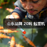 山东品牌 20吨 起重机(图4) 山东品牌 20吨 起重机(图4)
