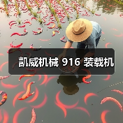 凯威机械 916 装载机(图1) 凯威机械 916 装载机(图1)