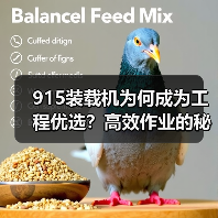 915装载机为何成为工程优选?高效作业的秘密揭秘(图1) 915装载机为何成为工程优选?高效作业的秘密揭秘(图1)