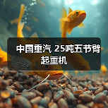 中国重汽 25吨五节臂 起重机(图1) 中国重汽 25吨五节臂 起重机(图1)