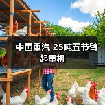 中国重汽 25吨五节臂 起重机(图3) 中国重汽 25吨五节臂 起重机(图3)