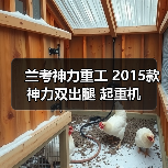 兰考神力重工 2015款神力双出腿 起重机(图1) 兰考神力重工 2015款神力双出腿 起重机(图1)