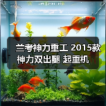兰考神力重工 2015款神力双出腿 起重机(图3) 兰考神力重工 2015款神力双出腿 起重机(图3)