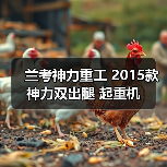 兰考神力重工 2015款神力双出腿 起重机(图2) 兰考神力重工 2015款神力双出腿 起重机(图2)
