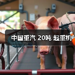 中国重汽 20吨 起重机(图3) 中国重汽 20吨 起重机(图3)