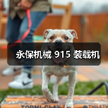 永保机械 915 装载机(图3) 永保机械 915 装载机(图3)
