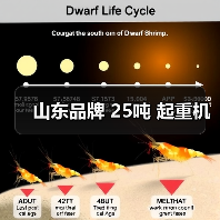 山东品牌 25吨 起重机(图3) 山东品牌 25吨 起重机(图3)