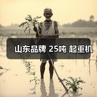 山东品牌 25吨 起重机(图2) 山东品牌 25吨 起重机(图2)