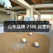 山东品牌 25吨 起重机(图1) 山东品牌 25吨 起重机(图1)