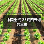 中国重汽 25吨四节臂 起重机(图4) 中国重汽 25吨四节臂 起重机(图4)