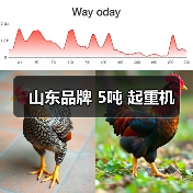 山东品牌 5吨 起重机(图4) 山东品牌 5吨 起重机(图4)
