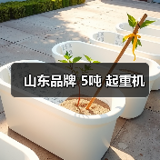 山东品牌 5吨 起重机(图3) 山东品牌 5吨 起重机(图3)
