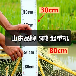 山东品牌 5吨 起重机(图1) 山东品牌 5吨 起重机(图1)
