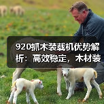 920抓木装载机优势解析:高效稳定,木材装载首选(图3) 920抓木装载机优势解析:高效稳定,木材装载首选(图3)