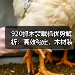 920抓木装载机优势解析:高效稳定,木材装载首选(图4) 920抓木装载机优势解析:高效稳定,木材装载首选(图4)