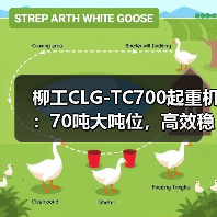 柳工CLG-TC700起重机:70吨大吨位,高效稳定,起重作业首选(图2) 柳工CLG-TC700起重机:70吨大吨位,高效稳定,起重作业首选(图2)