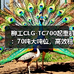 柳工CLG-TC700起重机:70吨大吨位,高效稳定,起重作业首选(图3) 柳工CLG-TC700起重机:70吨大吨位,高效稳定,起重作业首选(图3)