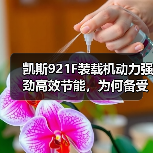 凯斯921F装载机动力强劲高效节能,为何备受青睐?(图3) 凯斯921F装载机动力强劲高效节能,为何备受青睐?(图3)