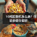 10吨起重机怎么选?性能参数全解析(图2) 10吨起重机怎么选?性能参数全解析(图2)