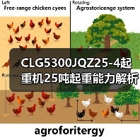 CLG5300JQZ25-4起重机25吨起重能力解析（图1）