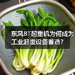东风8T起重机为何成为工业起重设备首选？（图1）