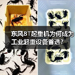 东风8T起重机为何成为工业起重设备首选？（图4）