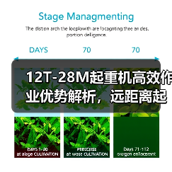 12T-28M起重机高效作业优势解析，远距离起重更轻松（图2）