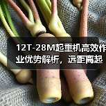 12T-28M起重机高效作业优势解析，远距离起重更轻松（图1）