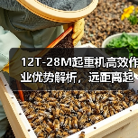 12T-28M起重机高效作业优势解析，远距离起重更轻松（图3）