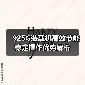 925G装载机高效节能稳定操作优势解析（图2）