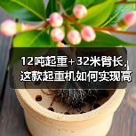 12吨起重+32米臂长，这款起重机如何实现高效作业？（图3）