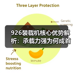 926装载机核心优势解析：承载力强为何成首选？（图4）