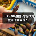 EC-30起重机为何成为重型作业首选?(图2) EC-30起重机为何成为重型作业首选?(图2)