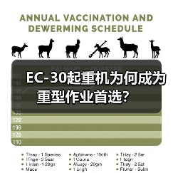 EC-30起重机为何成为重型作业首选?(图3) EC-30起重机为何成为重型作业首选?(图3)